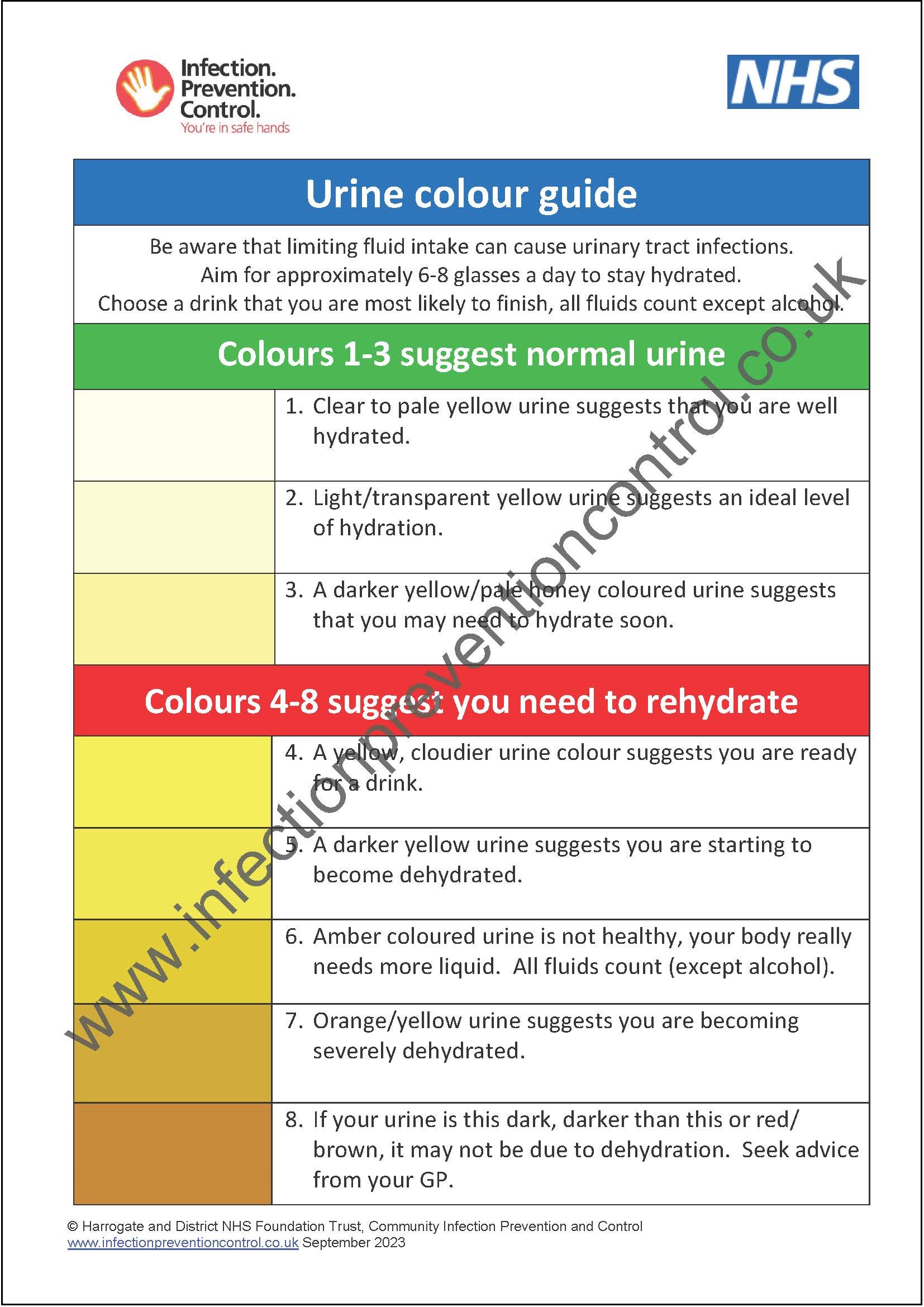 Is Frog Urine Dangerous To Humans? A Comprehensive Guide - glvueuc